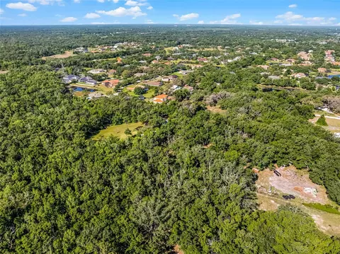 3633 Panther Path Rd, Lutz, FL 33559 photo 16