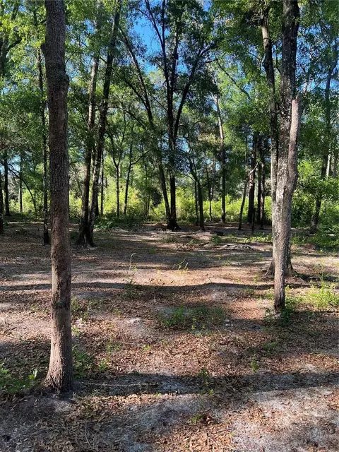 SW 118th Lane, Webster, FL 33597