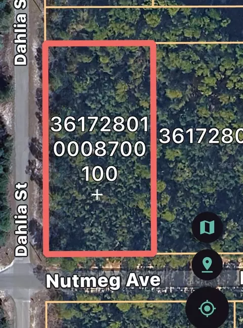 Dahlia Street, Eustis, FL 32736