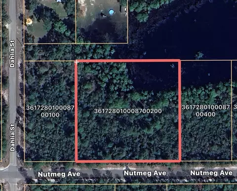 Nutmeg Avenue, Eustis, FL 32736
