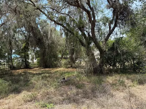 Vacant Land NW 8th Trail, Lake Panasoffkee, FL 33538