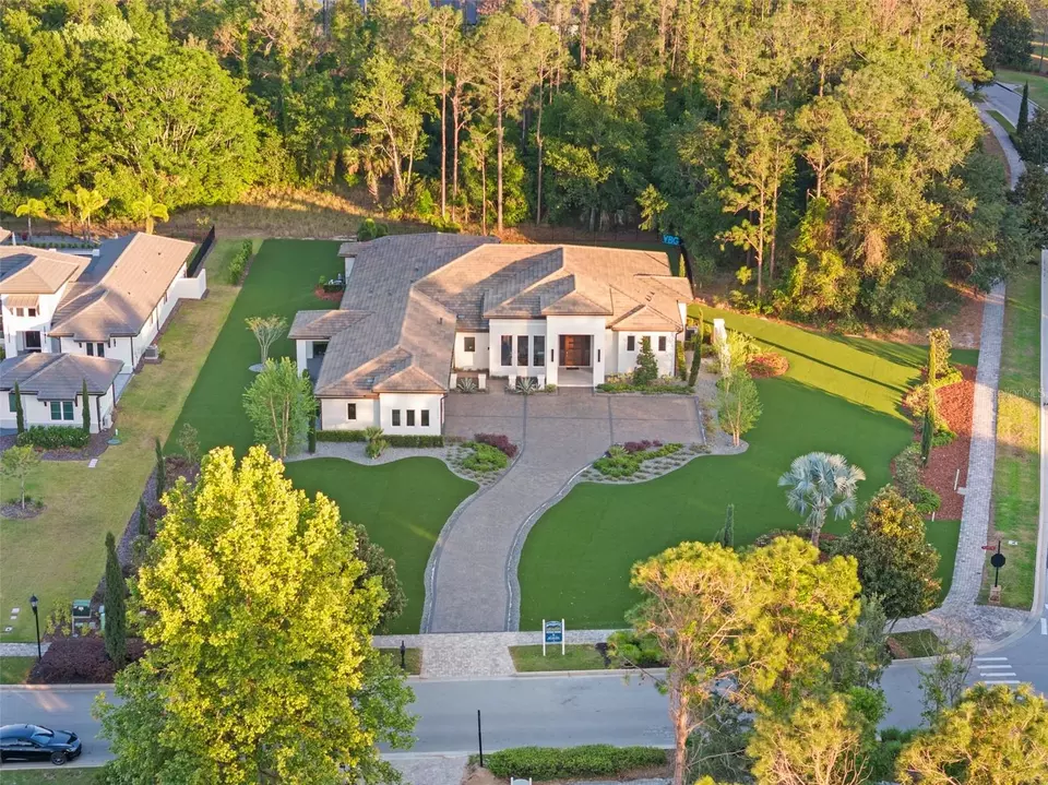 View/Area - 15500 Pendio Dr, Montverde, FL 34756 photo 2 of 12
