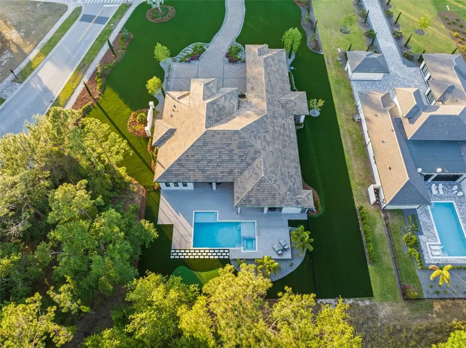 View/Area - 15500 Pendio Dr, Montverde, FL 34756 photo 6 of 12