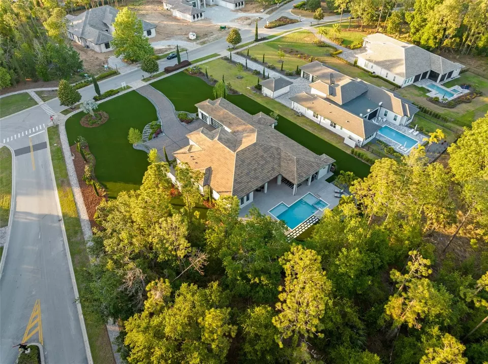 View/Area - 15500 Pendio Dr, Montverde, FL 34756 photo 5 of 12