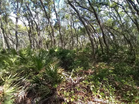 34457 Primrose Ln, Webster, FL 33597