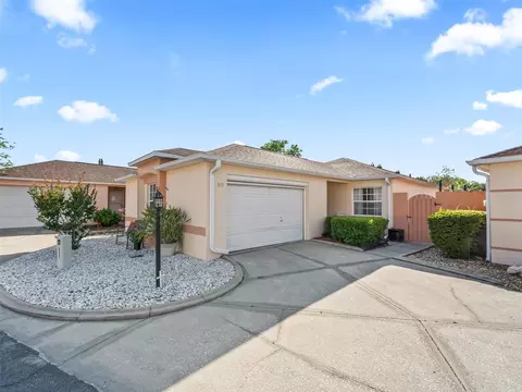 919 Medira Dr, The Villages, FL 32159