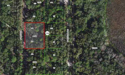 3849 S Ibis Pt, Inverness, FL 34450