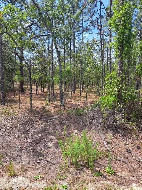 Hemlock Avenue Nw, Dunnellon, FL 34431
