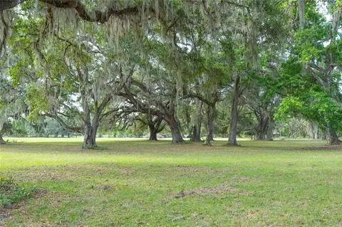 tbd Cr 772b, Webster, FL 33597 photo 6
