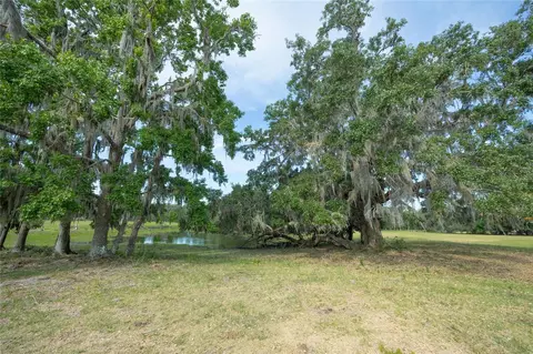 tbd Cr 772b, Webster, FL 33597 photo 18