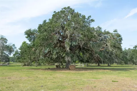 tbd Cr 772b, Webster, FL 33597 photo 23