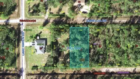 519 Camellia Dr, Lake Wales, FL 33855