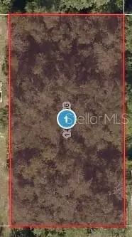 Elm Street, Lady Lake, FL 32159