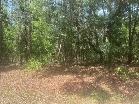 8729 N Wallingford Ave, Dunnellon, FL 34434