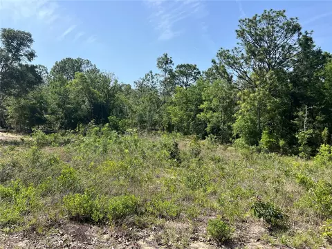 15151 NE 3rd Pl, Williston, FL 32696