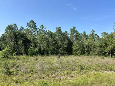 NE 150th Avenue, Williston, FL 32696