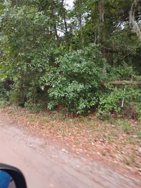 146 Th Pl, Fort Mc Coy, FL 32134