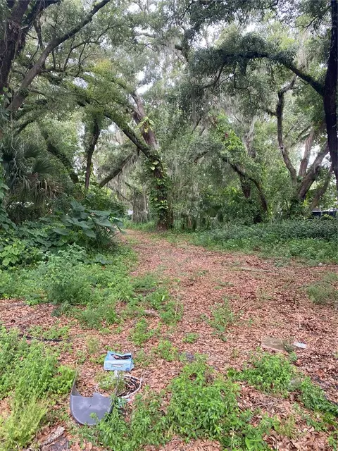 Palmetto, Sanford, FL 32773