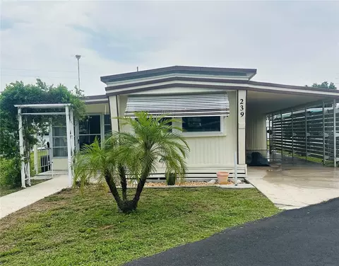 239 Rue De Fontaine, Tavares, FL 32778