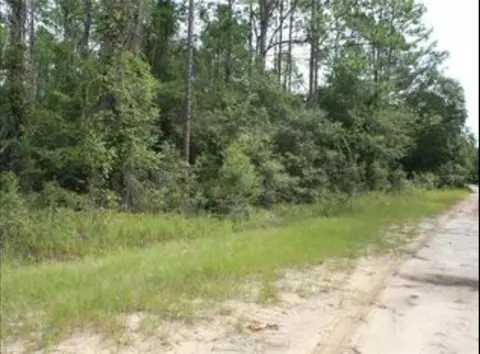 10381 NE 81st St, Bronson, FL 32621