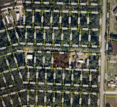 107 Grand Ave, Crescent City, FL 32112