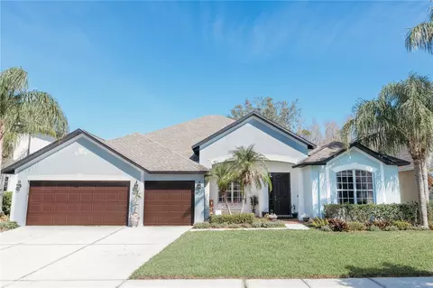 26620 Shoregrass Dr, Wesley Chapel, FL 33544