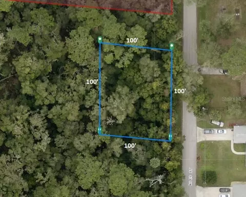 31637 Niles St, Sorrento, FL 32776
