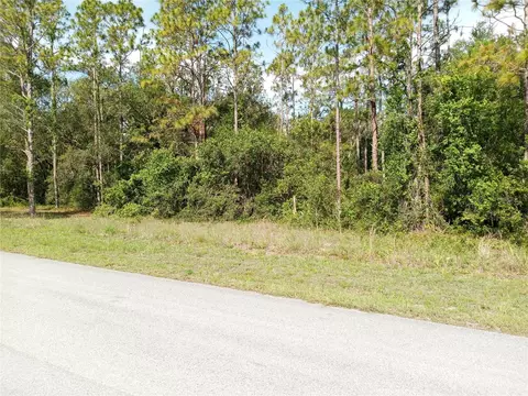 6431 Norman St, Webster, FL 33597