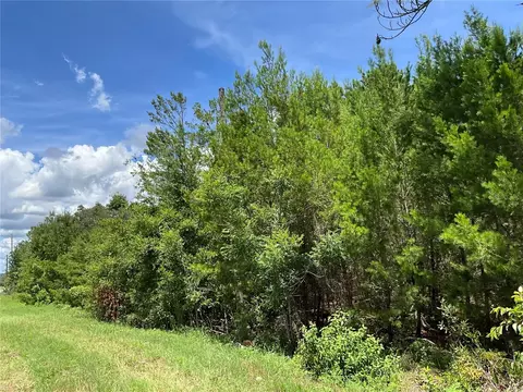 101 Hickory Ln, Interlachen, FL 32148 photo 7