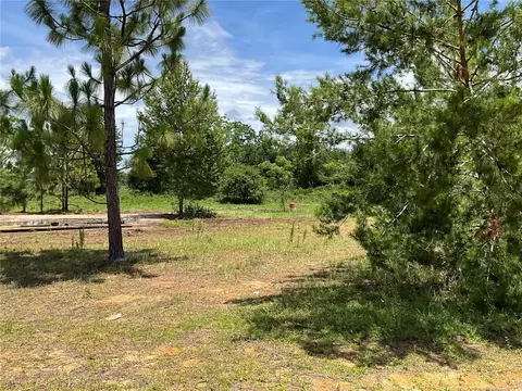 101 Hickory Ln, Interlachen, FL 32148 photo 5