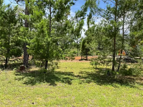 101 Hickory Ln, Interlachen, FL 32148 photo 6