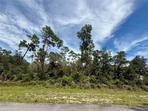 lot1 Dahlia St, Eustis, FL 32736