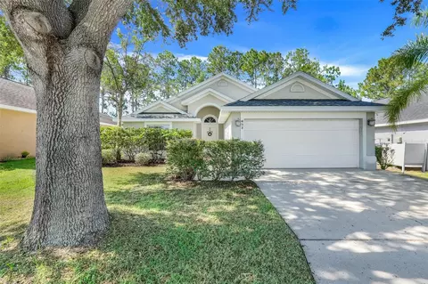 458 Halstead Dr, Davenport, FL 33897