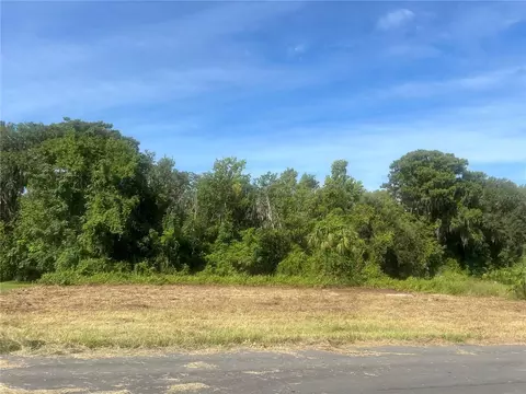 Redtree Drive, Leesburg, FL 34748