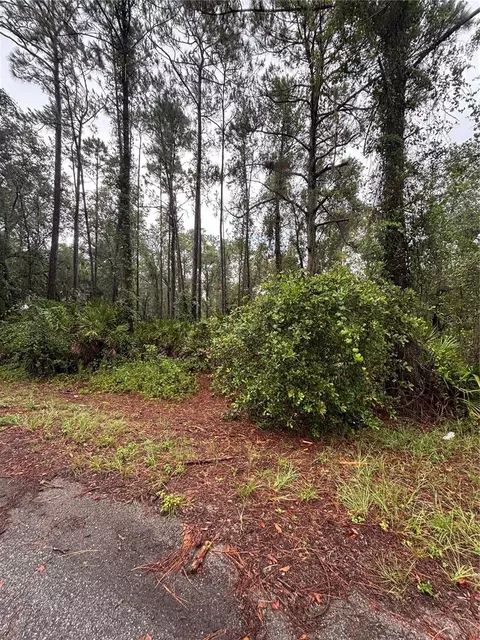 tbd Sequoia Drive Trl, Ocklawaha, FL 32179