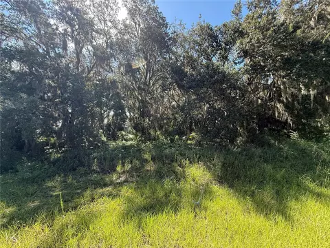 lot98 Bear Den Dr, Eustis, FL 32736 photo 5