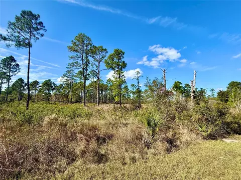 lot8 Honeysuckle St, Eustis, FL 32736