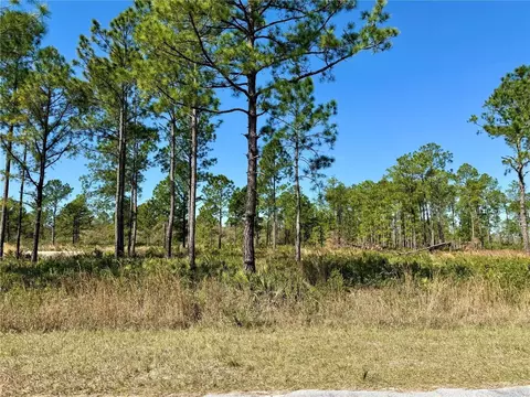 lot9 Honeysuckle St, Eustis, FL 32736
