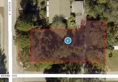 125 E Doanne Ave, Eustis, FL 32726