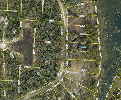 34245 Berryhill Dr, Webster, FL 33597