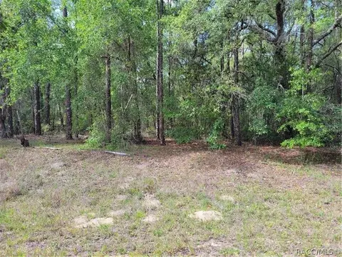 609 E Canturybury Ln, Citrus Springs, FL 34434