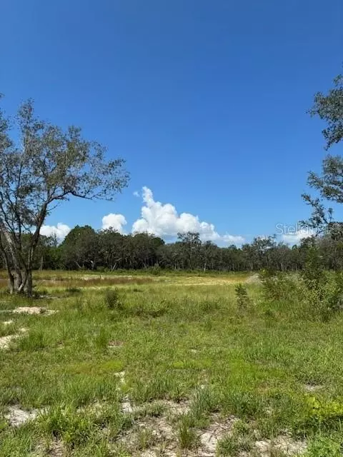 Lake Yale Road, Umatilla, FL 32784