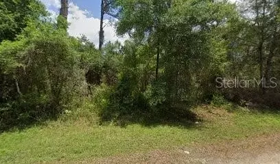 9437 N Agar Ter, Dunnellon, FL 34434