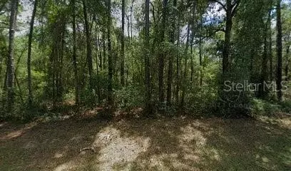 917 E Abend Dr, Dunnellon, FL 34434