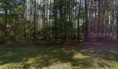 9261 N Athenia Dr, Citrus Springs, FL 34434