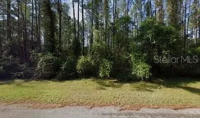 9244 N Athenia Dr, Citrus Springs, FL 34434