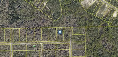 33155 Rose Bloom Avenue, Webster, FL 33597 photo 2