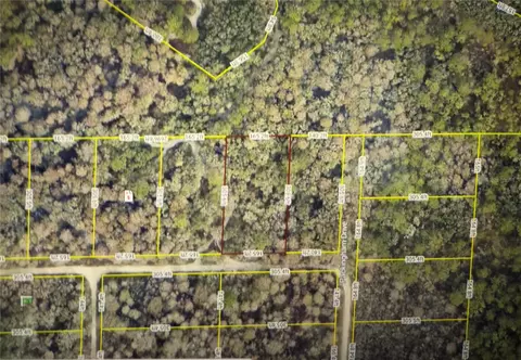 33155 Rose Bloom Avenue, Webster, FL 33597