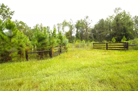 Youth Camp Road, Groveland, FL 34736