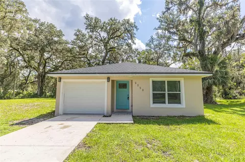 2250 Cr 423, Lake Panasoffkee, FL 33538